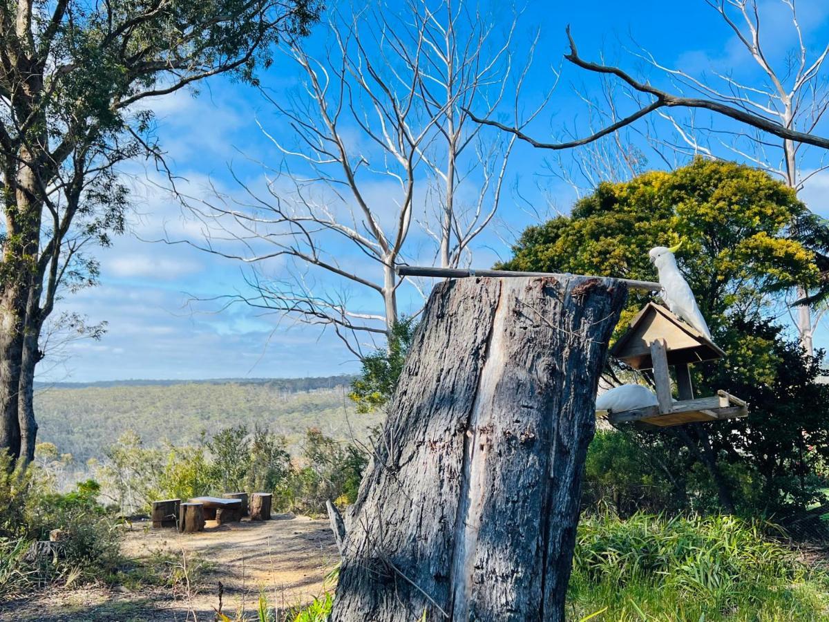 Canyon Cottage Majestic View Blackheath Buitenkant foto